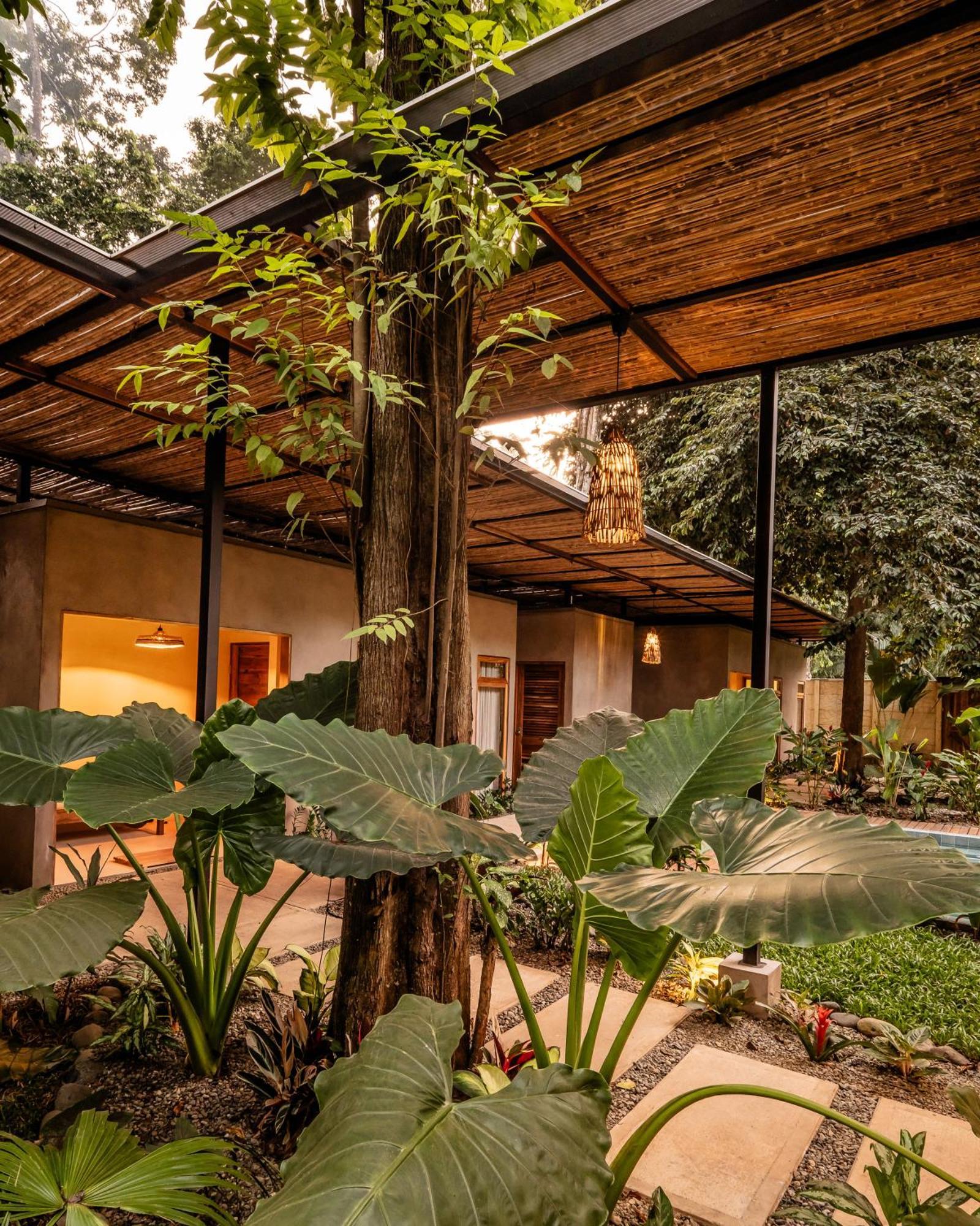 La Bonita Lodge Puerto Viejo de Talamanca Extérieur photo